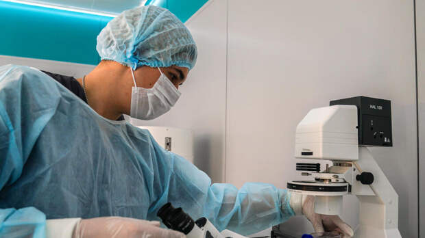 Онищенко призвал россиян не бояться оспы обезьян