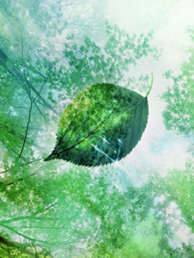 Татьяна Татьяна