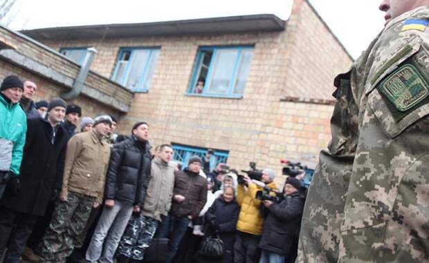 ВСУ: «Враг заберет этот скот себе в армию. И тот станет воевать за РФ, а не за Украину»