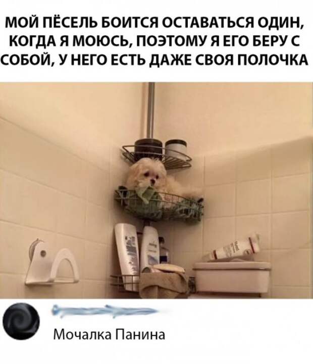 Смешные комментарии из социальных сетей