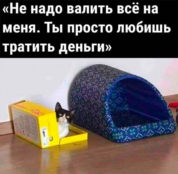 Свежие мемы на сегодняшнее утро (25.05.2023)