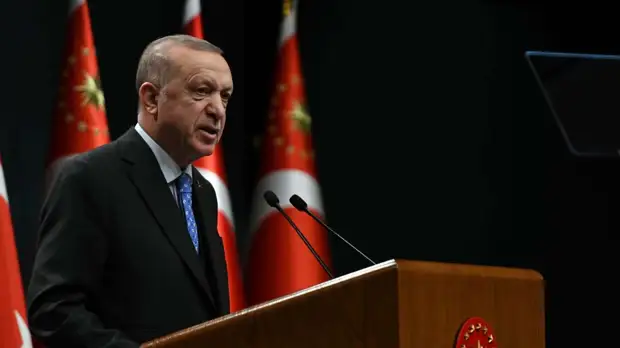 Эрдоган изложил Джонсону позицию Турции по вступлению Финляндии и Швеции в НАТО