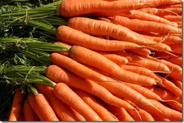 carrot1