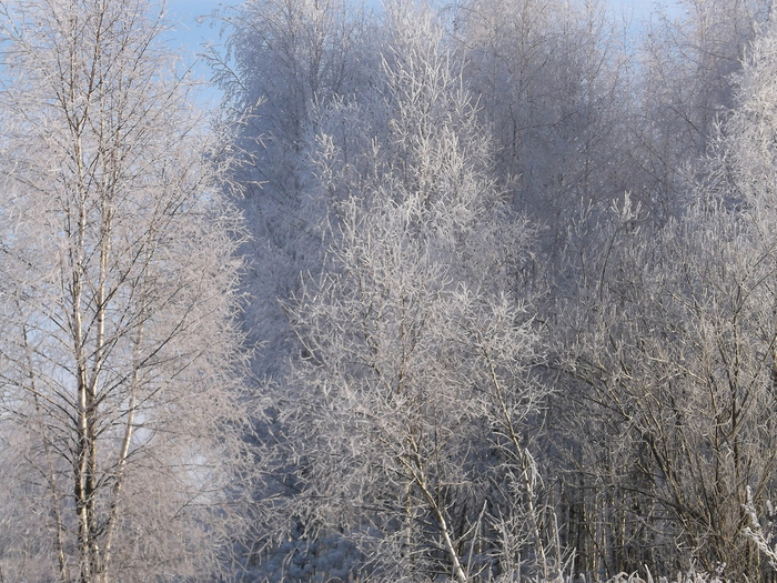 look.com.ua-113093 (700x525, 479Kb)