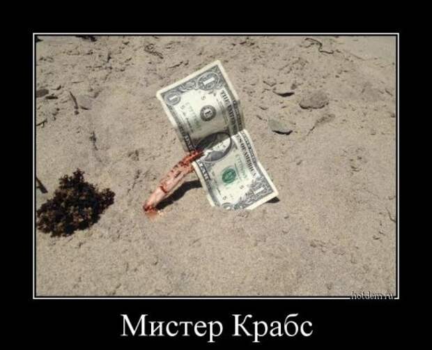 Демотиваторы-приколы