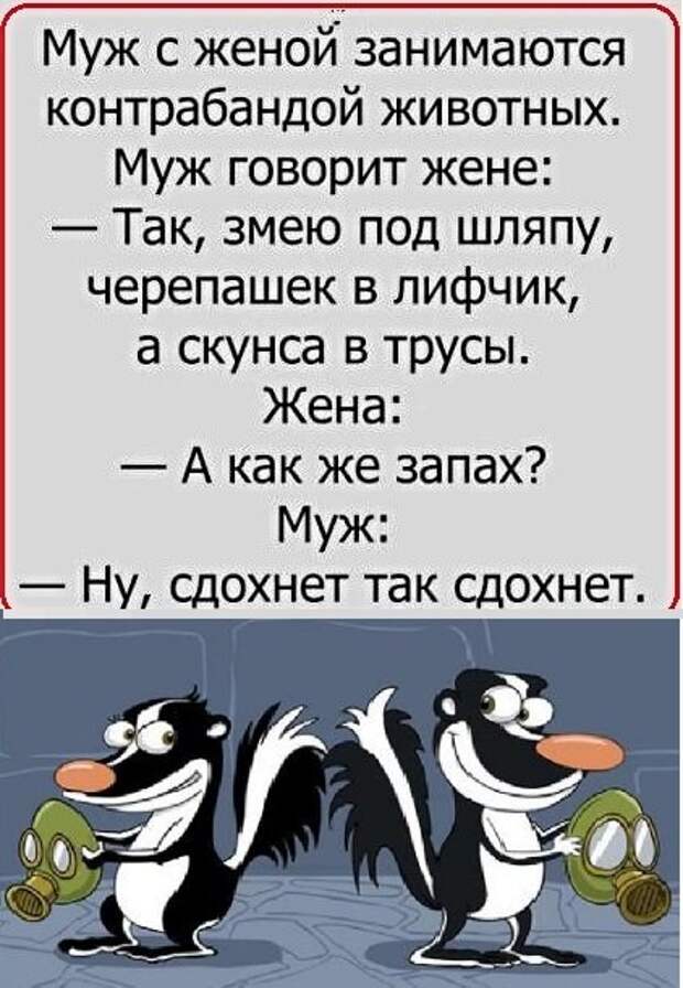 Анекдоты, истории и картинки с надписями