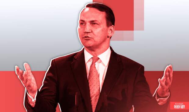 Польский депутат констатировал кризис в отношениях между Польшей и Индией