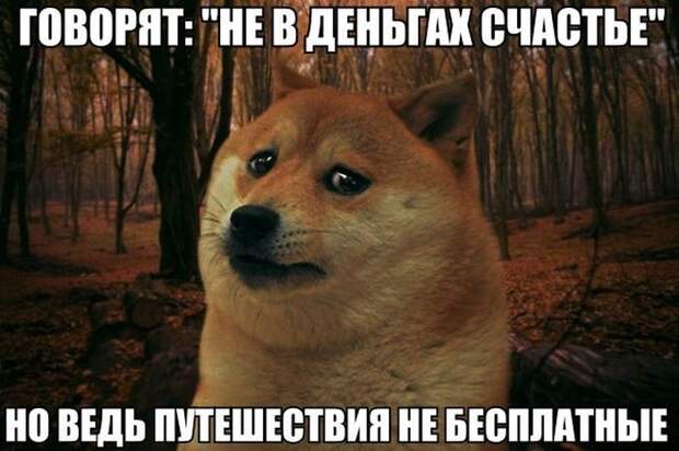 Прикольные картинки (102 фото) Прикольные картинки (102 фото)