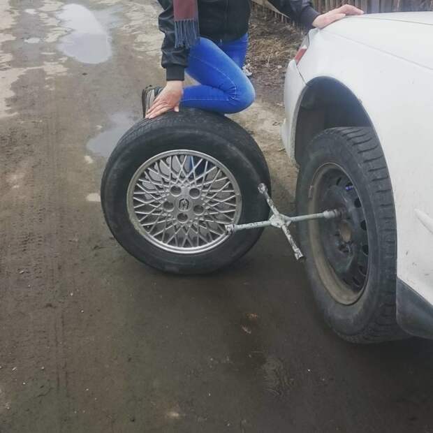 Ну, это серьезная заявка, автоледи! женщины, не женское дело, профессия, специальность