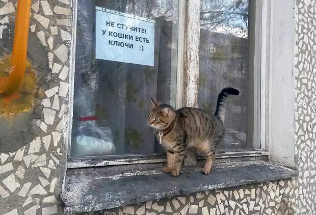 Смешные объявления, приколы в рекламе