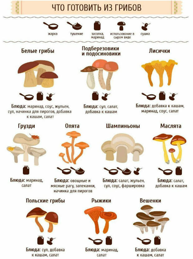 Кухонные шпаргалки от профи