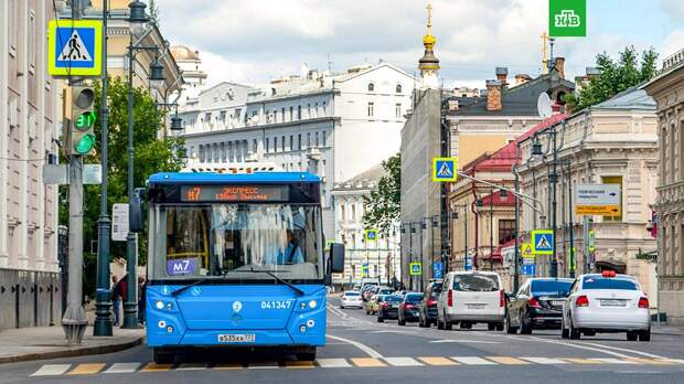 Убытки общественного транспорта Москвы объяснили приростом инфраструктуры