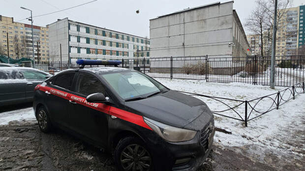 Сотрудницу охраны задержали после нападения на учительницу в школе Петербурга