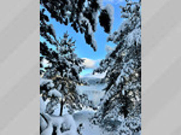 Телецкое озеро / Фото: Роман и Татьяна Воробьевы