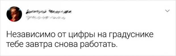 Подборка забавных твитов