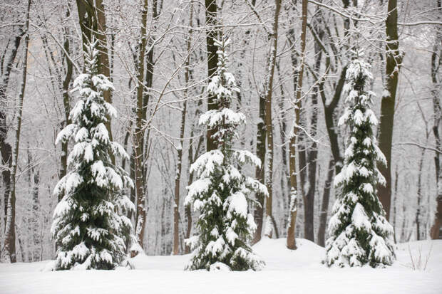 Почти месячная норма осадков выпала в Туле за сутки из-за циклона "Валли"