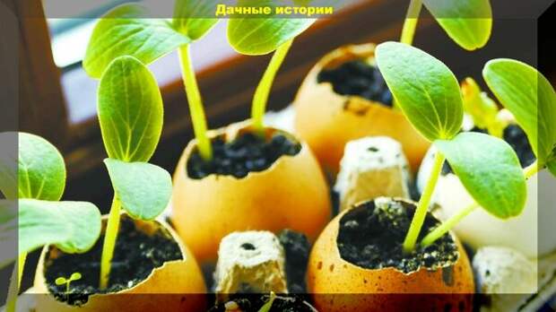 https://vk.com/photo-159774511_456241370