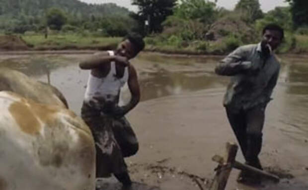These Indian Farmers Took On The Kiki Challenge And It Might Be The Best One Yet