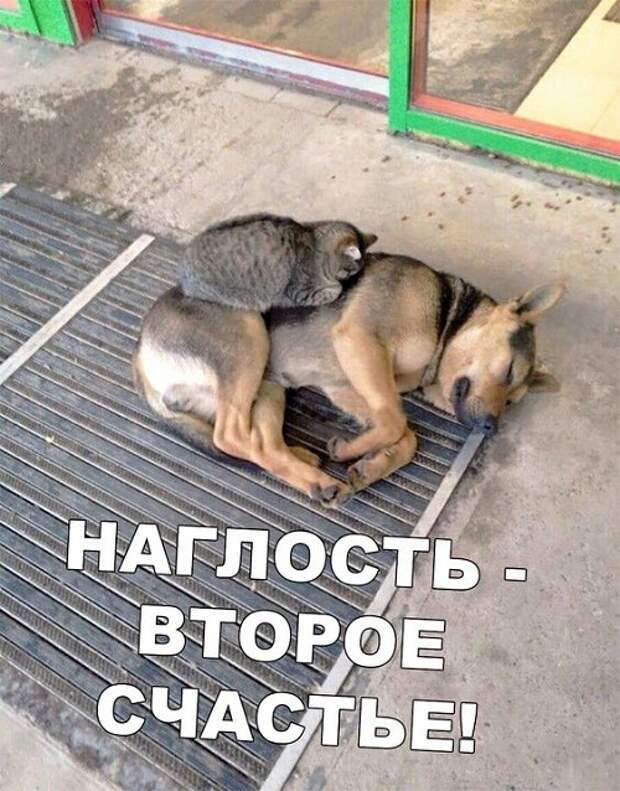 Улетные картинки с надписями (вторник)