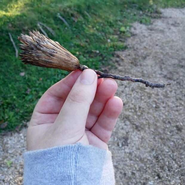 alt