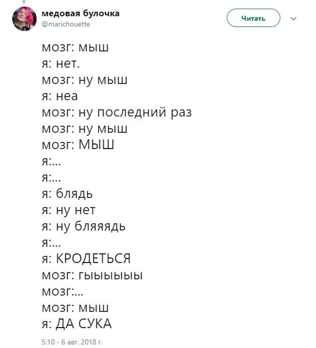 Мыш заела в голове