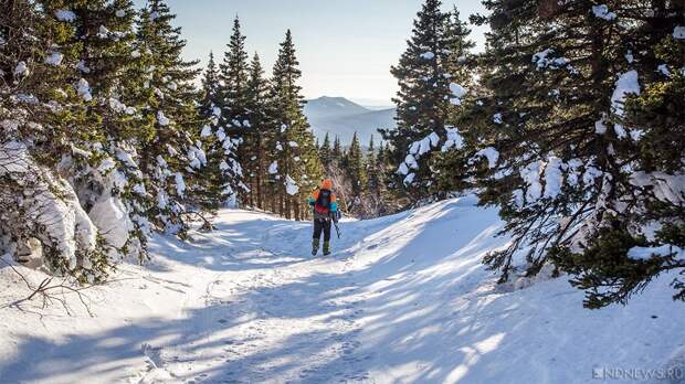 Национальный парк «Зигальга» возглавил экс-чиновник районной администрации