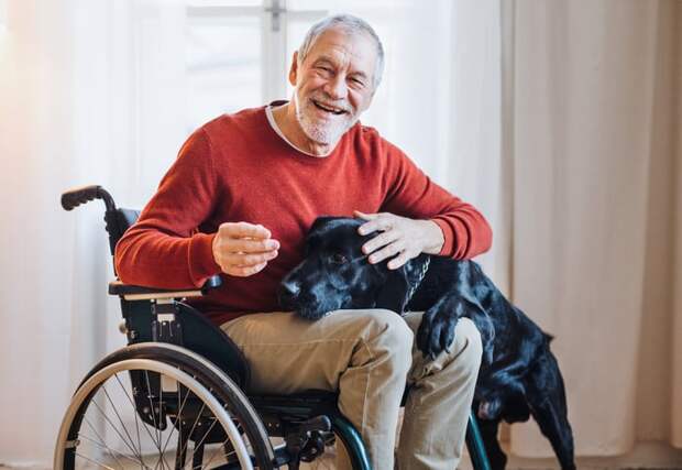Smiling person in wheelchair petting a dog.