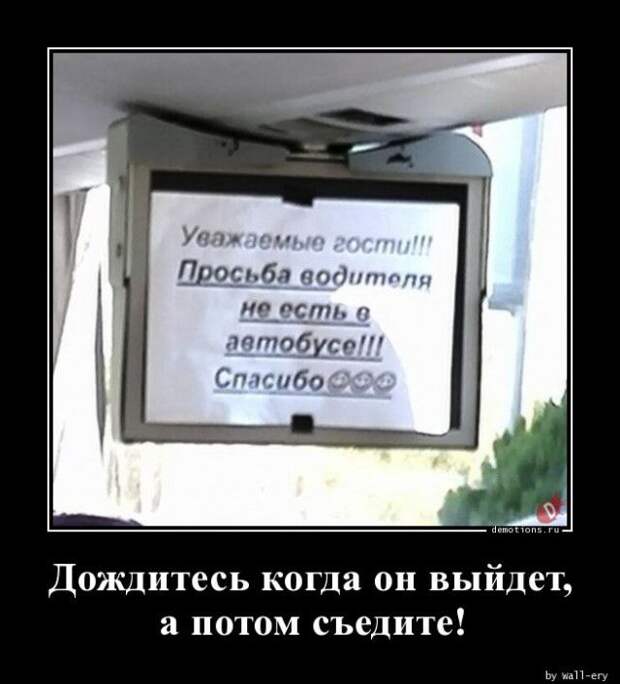 1589352356_demy-19.jpg