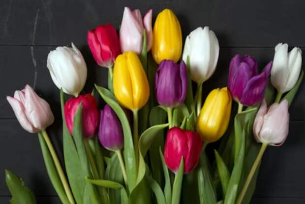 Свыше 100 культурных площадок Москвы представят программу к 8 Марта