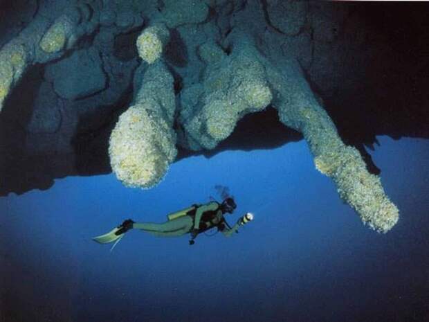 Неимоверный подводный пейзаж морских сталактитов.