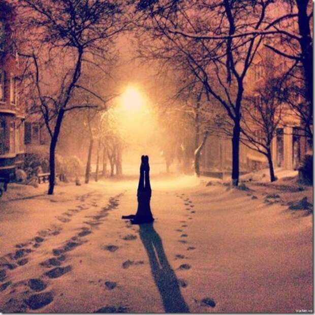 568b224f204526945752ede2536_prev 568b224f204526945752ede2536_prev