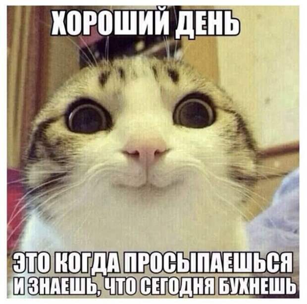 Пятничный алкогольный юмор