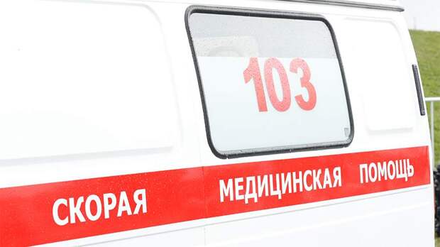 Пять человек погибли в ДТП на трассе Сургут – Салехард в ЯНАО