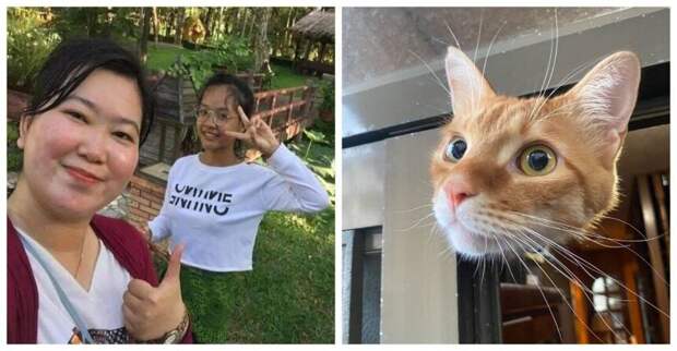 15 оптических иллюзий, которые запросто сбивают с толку даже самых наблюдательных