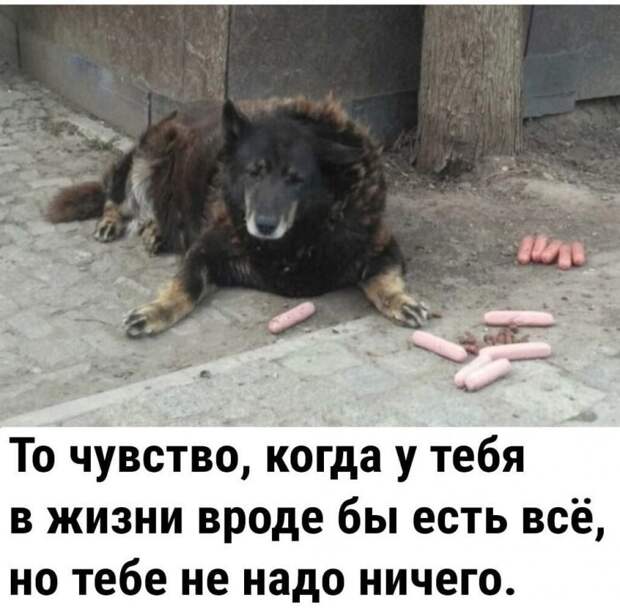 Понедельник, и как его пережить Понедельник, и как его пережить