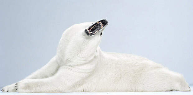 Ми-ми-мишки