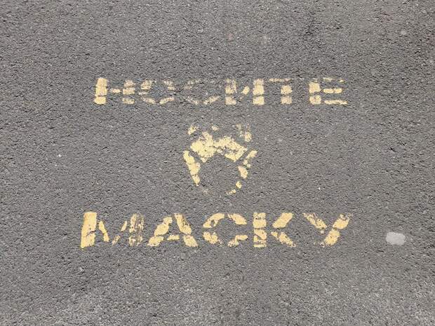 Шесть лет назад в Приморье официально началась коронавирусная «история»