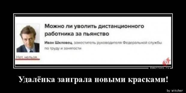 1589352356_demy-4.jpg