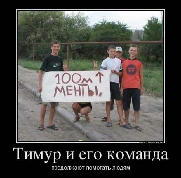 Сборник новых демотиваторов (13 шт)