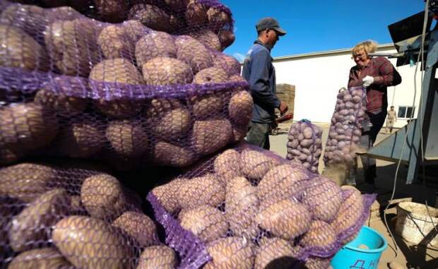 Мигранты в Белоруссии: Шаг влево, шаг вправо — домой. Оказывается, можно и так