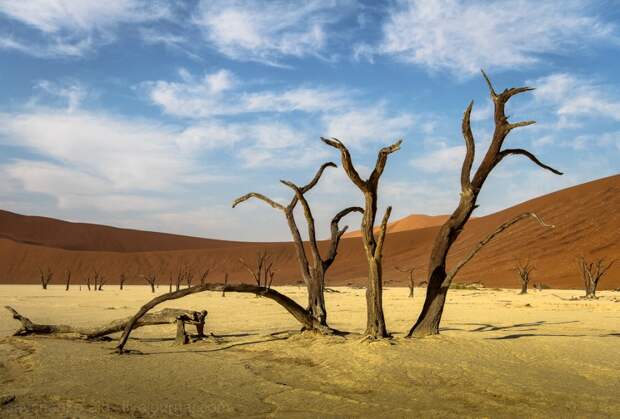 Африка. Намибия. Пустыня Намиб Соссусфлей Sossusvlei24 Африка. Намибия. Пустыня Намиб Соссусфлей