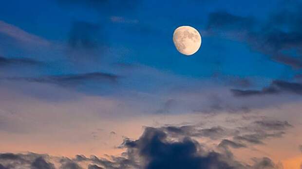 Лучшие дни марта 2026 года для работы с рассадой: советы лунного календаря