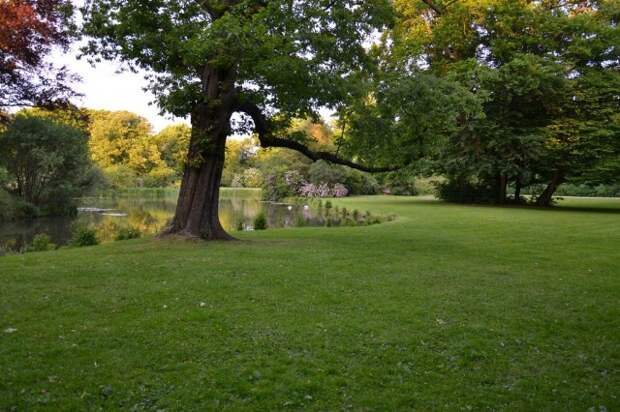 Парк Мускау (Fürst-Pückler-Park Bad Muskau)