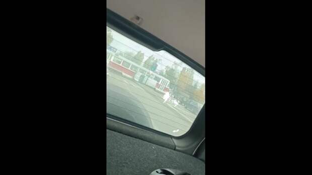 Video: TikVideo.App_7432397190359682309_hd.mp4
