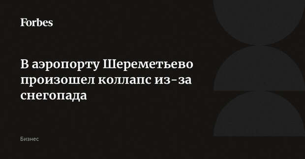 В аэропорту Шереметьево произошел коллапс из-за снегопада
