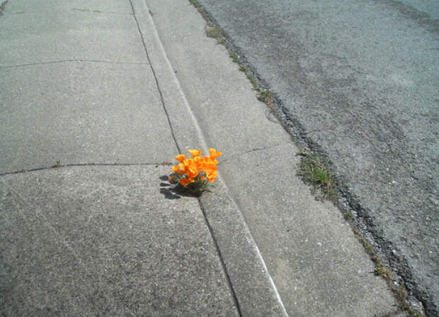 24 фото, доказывающих, что самая большая сила на Земле - природа, а не люди