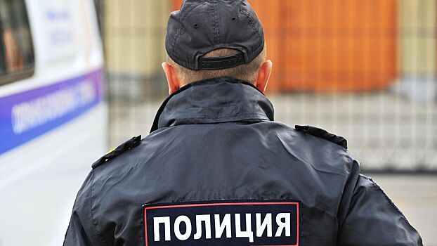 Неудавшаяся воровка запустила елку в охранника супермаркета