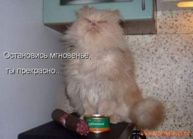 Улыбнись! :) (21повод)