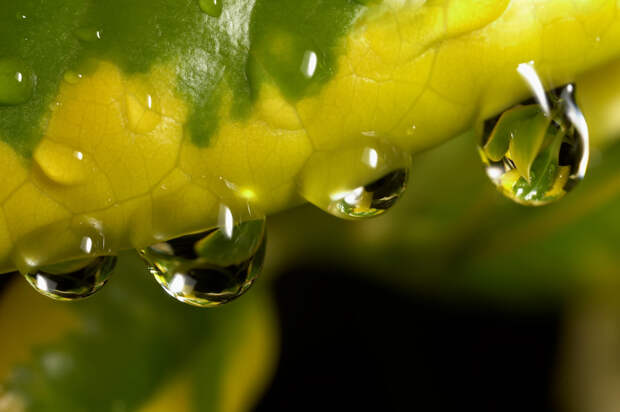 Фотографии капель воды
