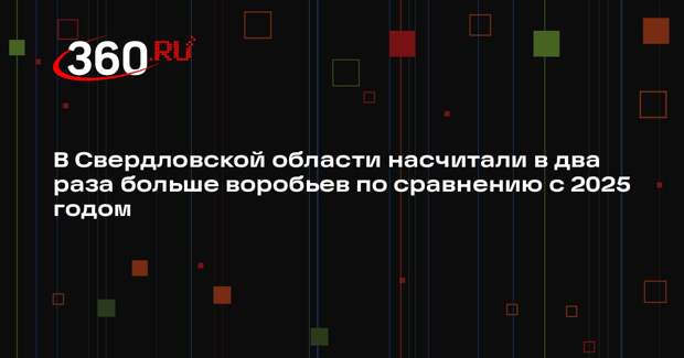 В Свердловской области насчитали в два раза больше воробьев по сравнению с 2025 годом